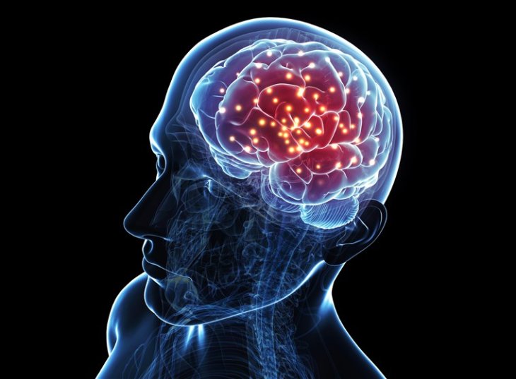 Káº¿t quáº£ hÃ¬nh áº£nh cho brain implants