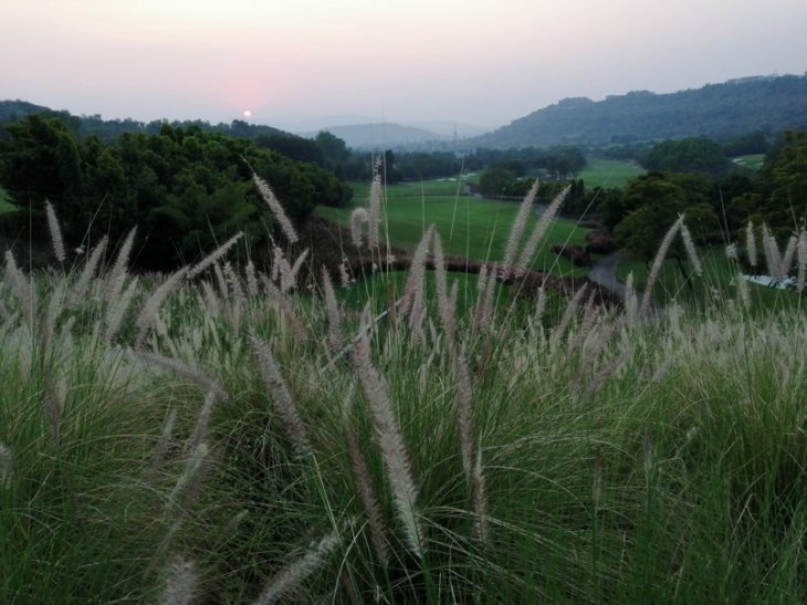 Honor 8x Review Camera Sample 4