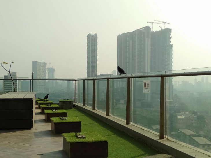 44255886930 D5a610d4fe K