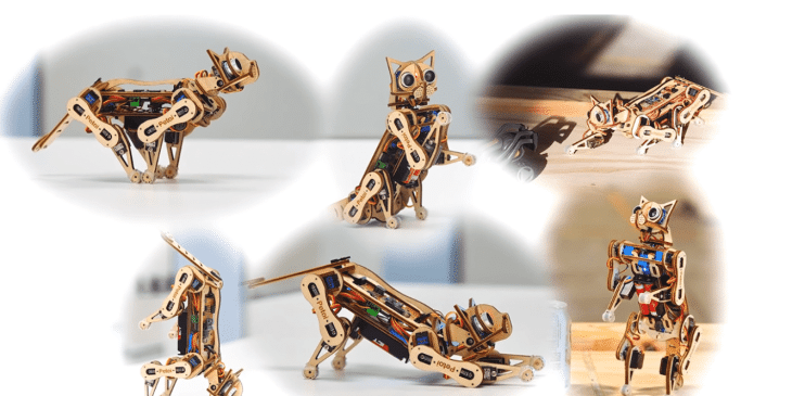 Screenshot 2018 10 25 650 Petoi Nybble Youtube 350