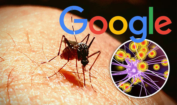 Google Mosquitoes 829837
