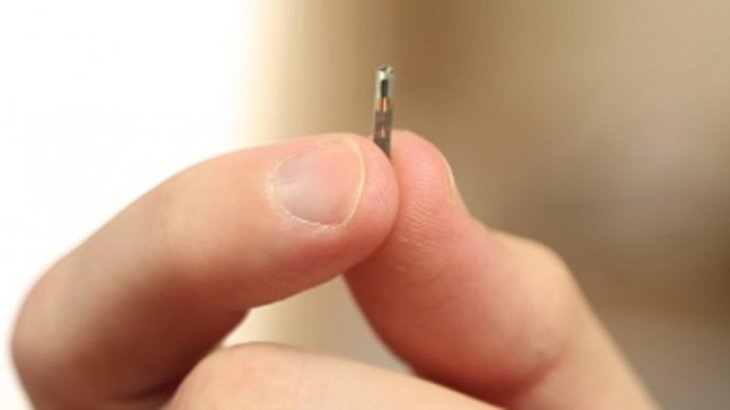 Image result for microchip employees size