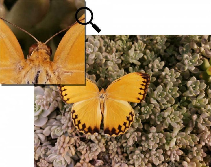 Honor View20 Camera Sample Intext