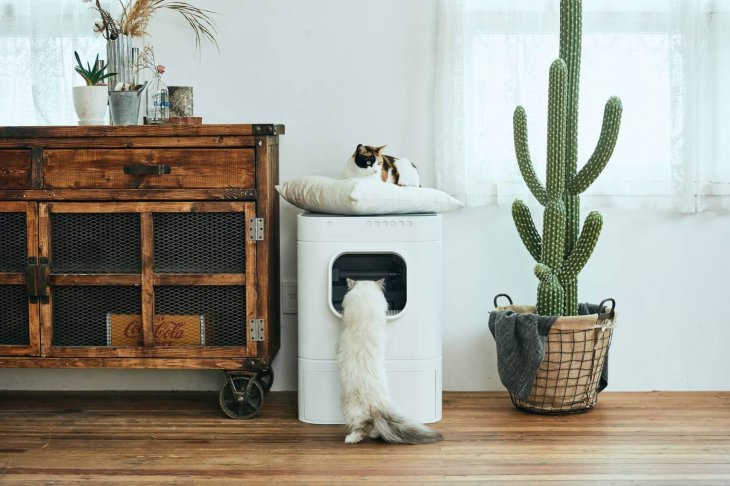 Lavviebott Automatic Litter Box Ces 2019