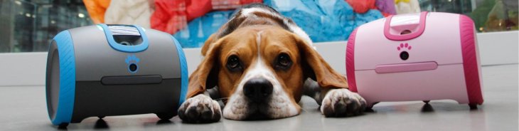 Photo Mj Laika Cf7ef5e6 2774 489a A85b 84d20c99e8f