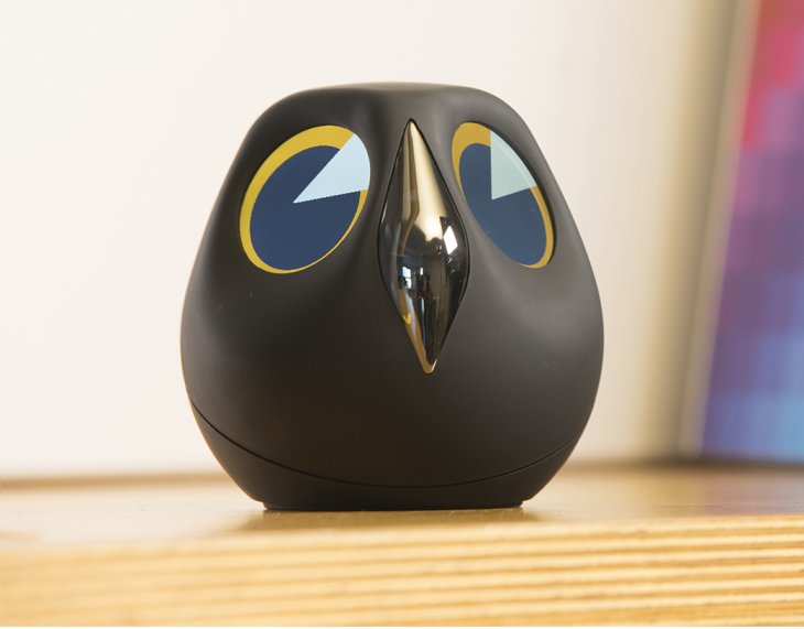 Ulo Interactive Home Monitoring Owl Descimage