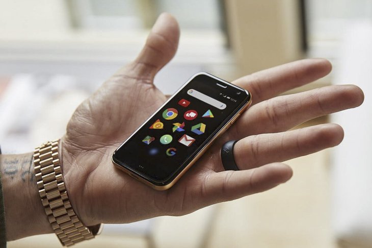 Káº¿t quáº£ hÃ¬nh áº£nh cho palm palm