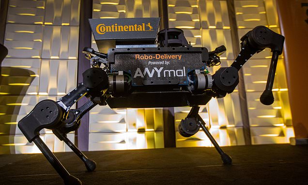 8421100 0 Image A 48 1547249209070