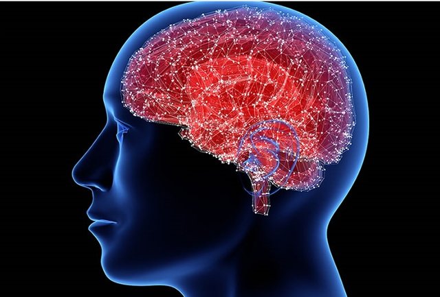 Asha 18119 Parkinsonsfall