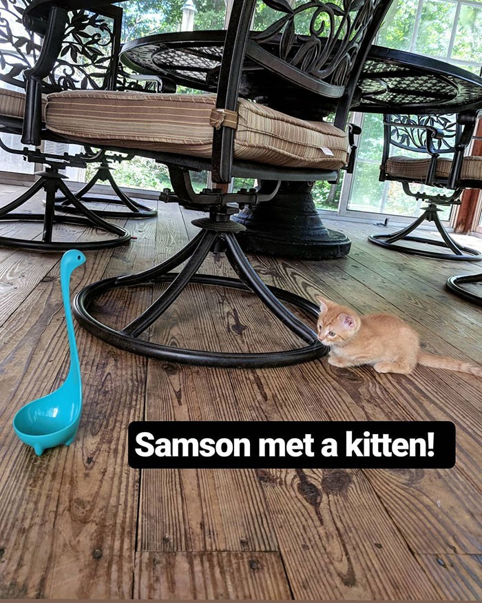 Photo 1 1548039343578994465119