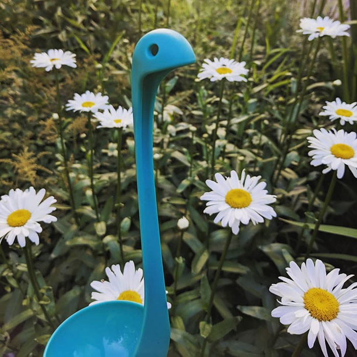 Photo 1 15480394168941107806942