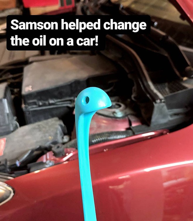 Photo 7 1548039999199257464014