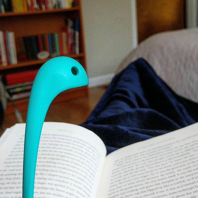 Photo 9 1548039999202597355028