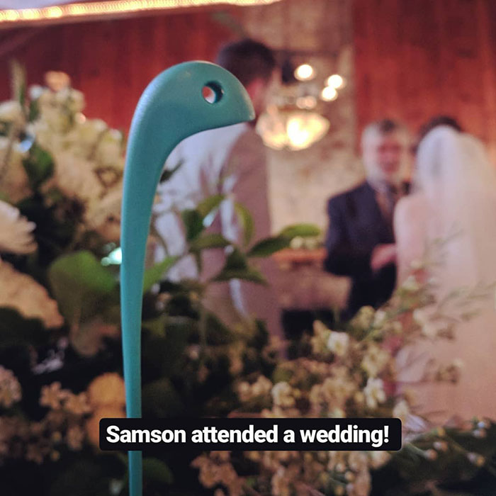 Samson The Ladle Dinosour 5c41ed98d6a2a 700