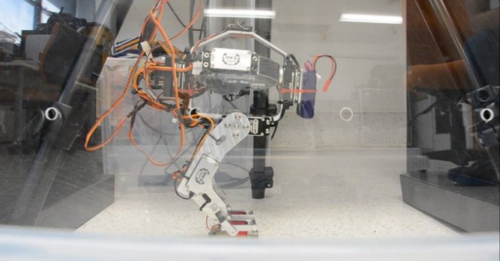 Walking Robot In Test Resize Md