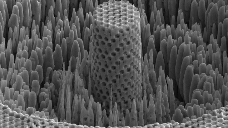 A microscopic sample of the 