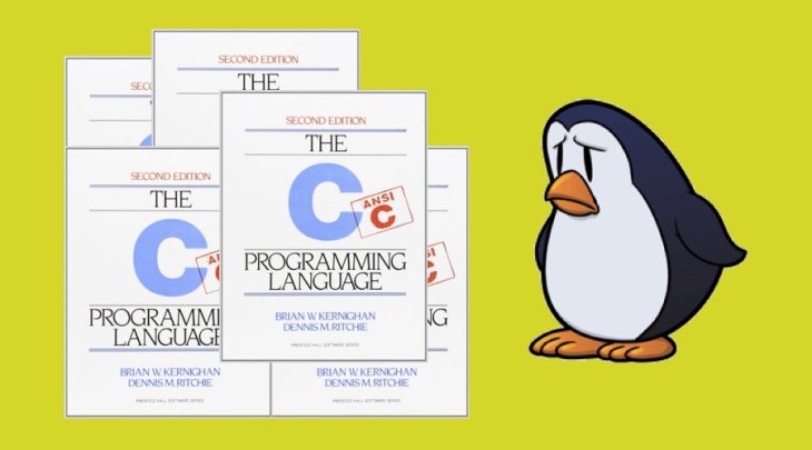 Downfall Of C Programming Language