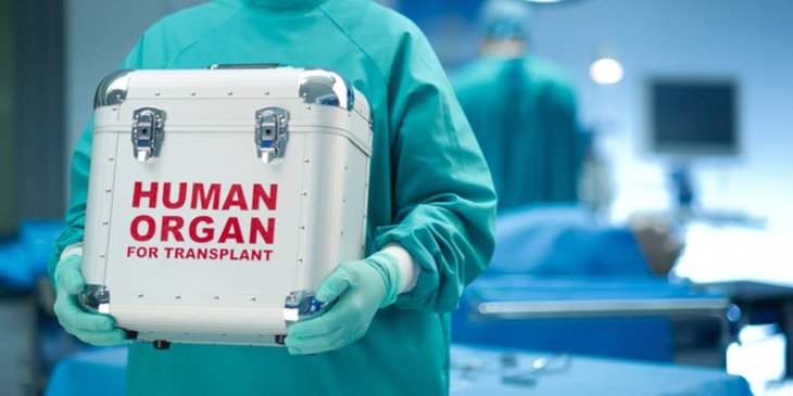 Organ Transplant
