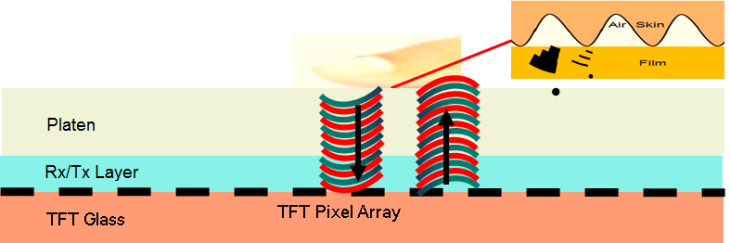 Káº¿t quáº£ hÃ¬nh áº£nh cho ultrasonic fingerprint sensor