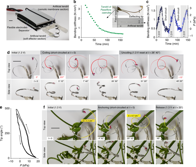 41467 2018 8173 Fig4 Html
