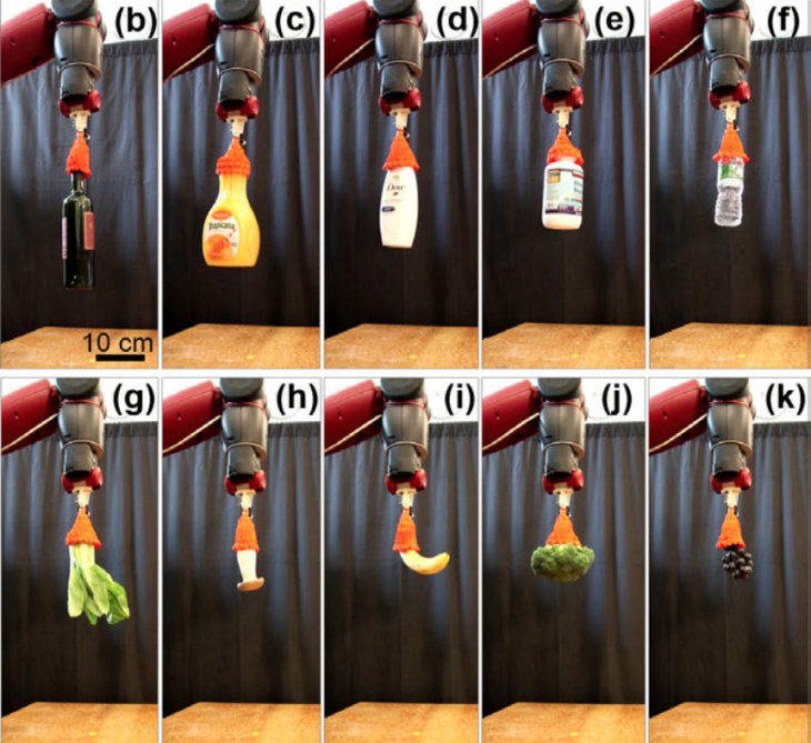 Screen Shot 2019 03 12 At 2 54 28 Pm