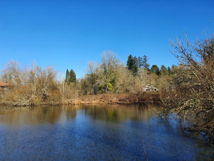 Galaxy S10e Camera Samples 4