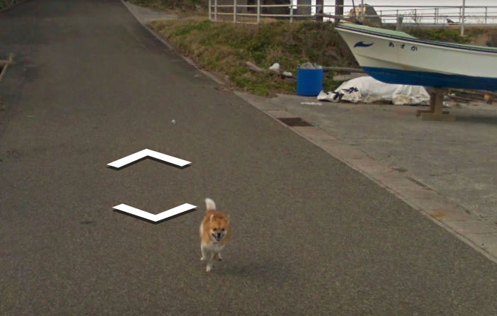 Tiny Dog Follows Street View Car Kagoshima Japan00