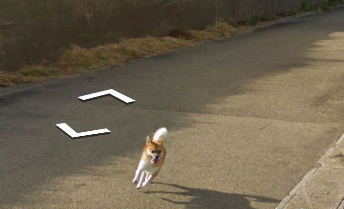 Tiny Dog Follows Street View Car Kagoshima Japan00