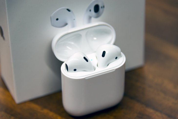 Apple Airpods Incase