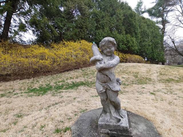 Both Phones Have Ultra Wide Cameras Heres The Lg G