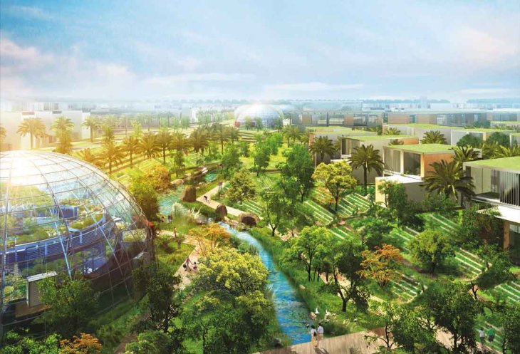 Green Joint Programme Of Indian And Sweden For Cle