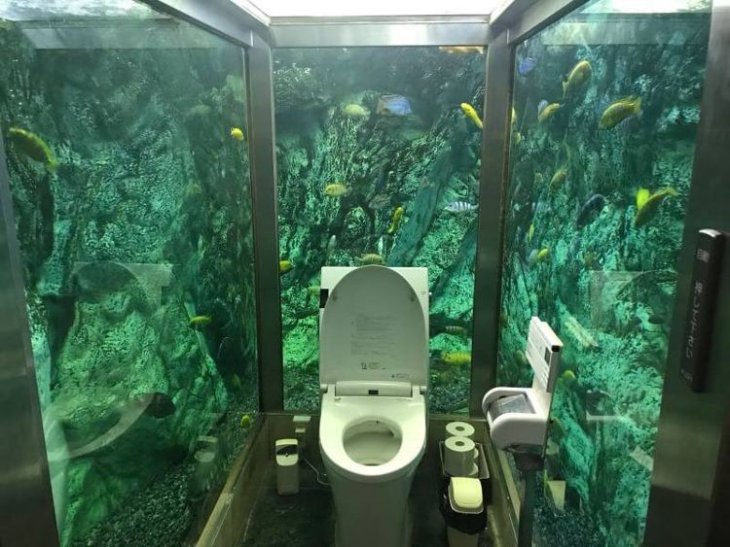 Aquarium Toilet