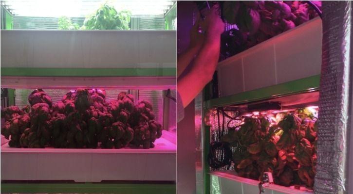 Scientists Found Out How To Use Light To Increase