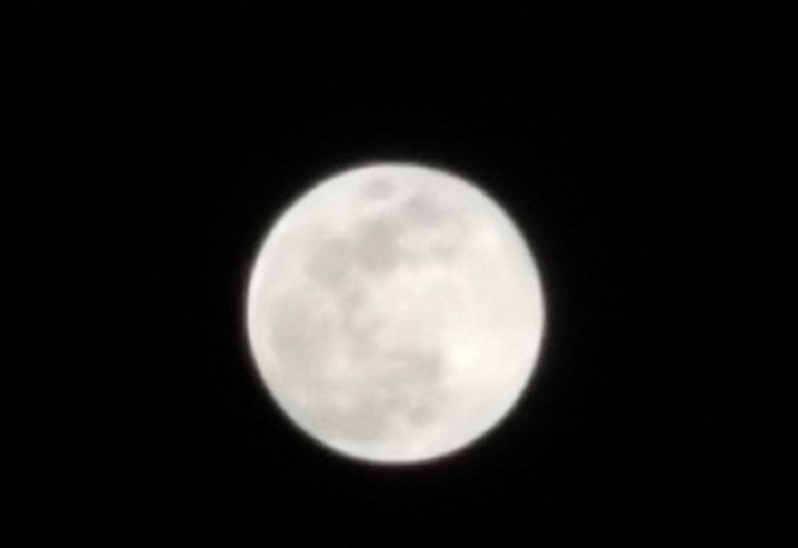 Img20190419210313 Copy 1555695348167181582254