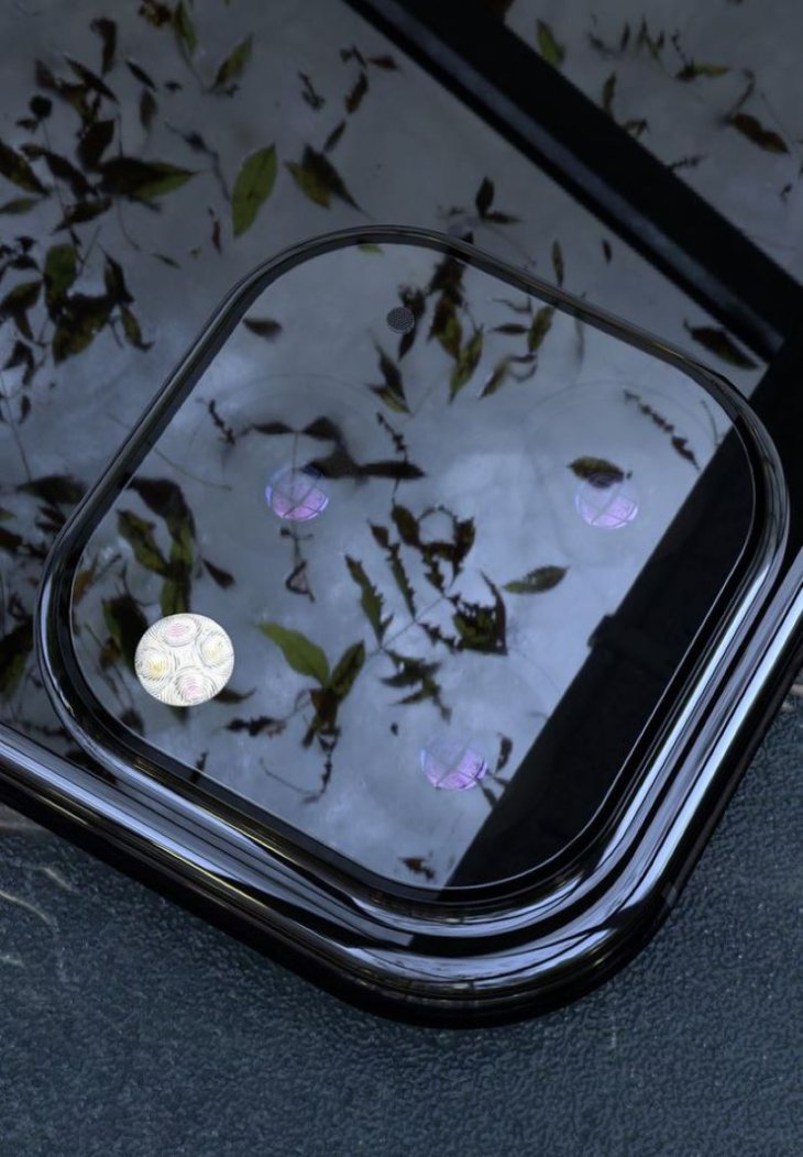 D2f82799 9b8a 4148 Bca1 5117173c965b 1556808517918