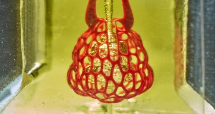 3d Bioprinting Organs Resize Md