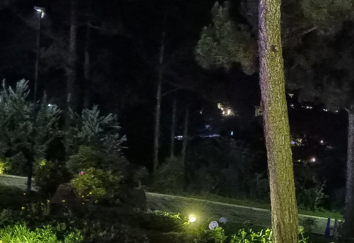 Realme-3-camera-sample-night