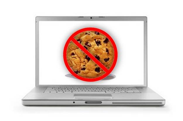 Как посмотреть cookies mozilla