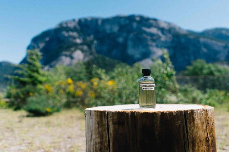 carbon-dioxide-turn-into-gasoline