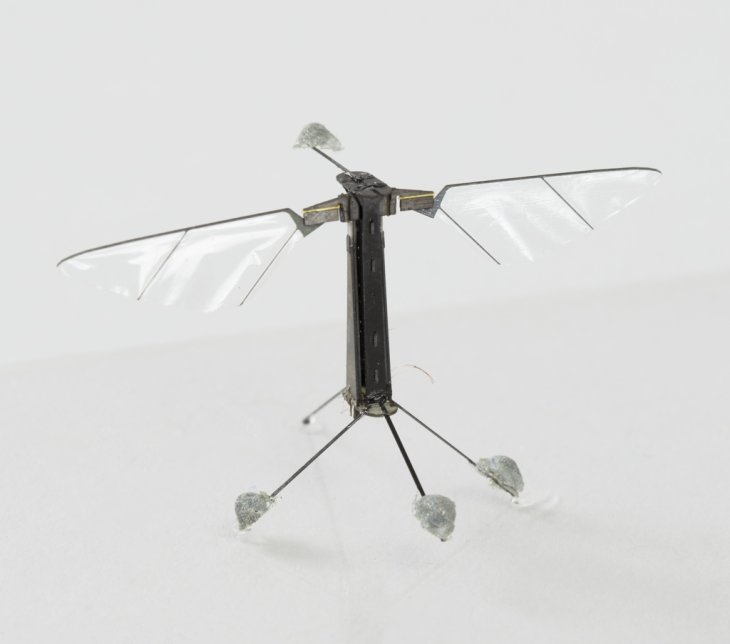 minuscule-robobee-x-wing-can-fly-using-solar-energy-mobygeek