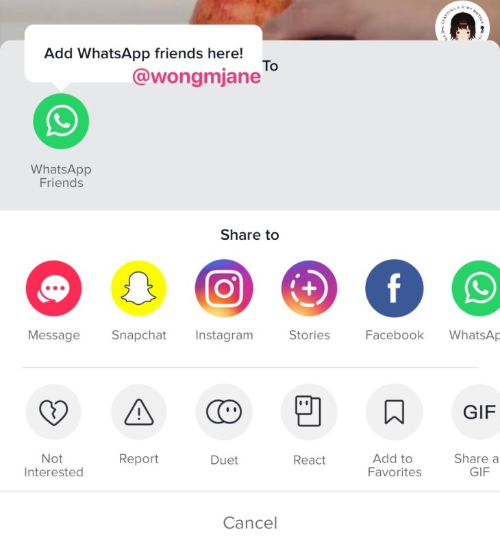 TikTok-Whatsapp-share-video