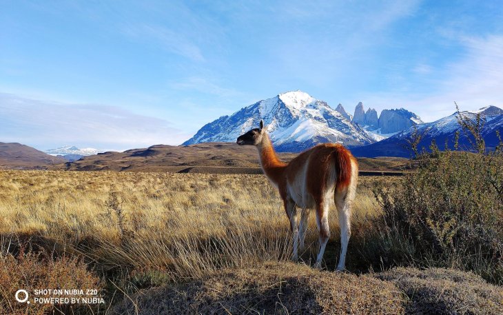 Nubia Z20 camera sample