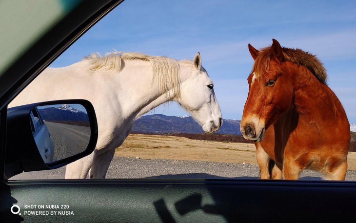 Nubia Z20 camera sample