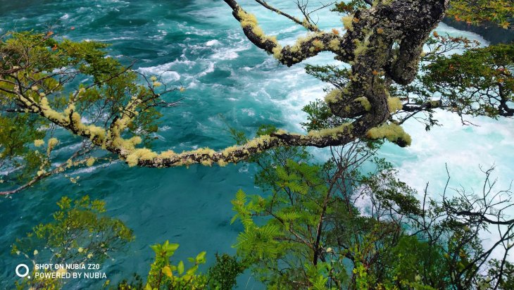 Nubia Z20 camera sample