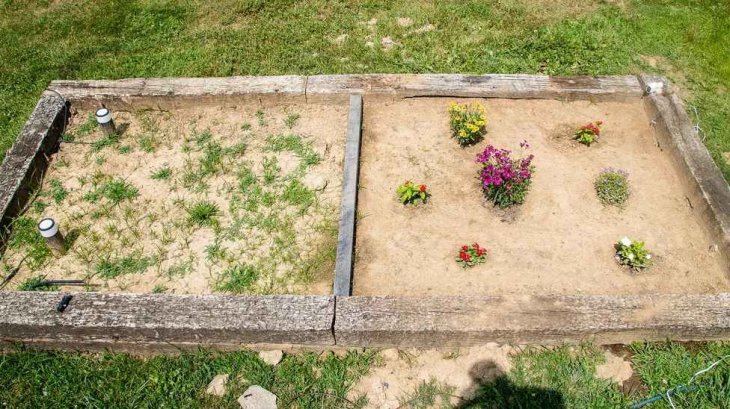 Tertill-keeps-your-garden-weed-free-2