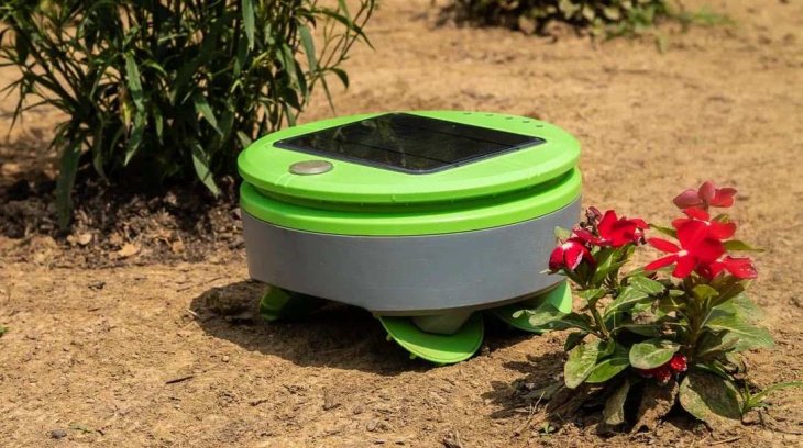 Keep-your-garden-weed-free-always-with-Tertill-9