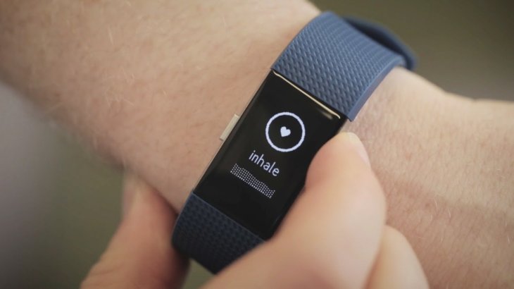 fitbit light