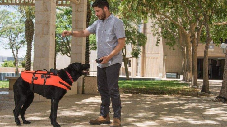Haptic-Vest-Control-Dogs