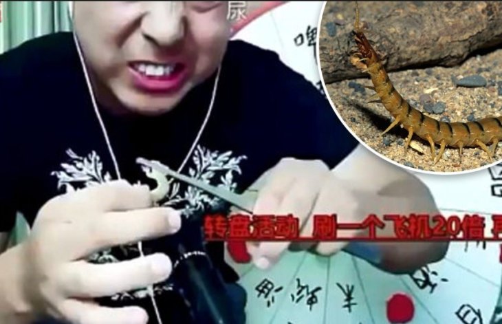 Chinese-vlogger-ate-geckos