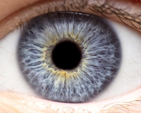 Sicentist Makes Human Eye Replica On A Chip And It Can Blink - MobyGeek.com